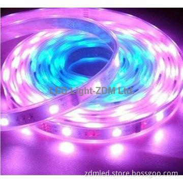 new waterproof RGB decorative string lighting